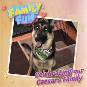 Meet your Posher, Joanne